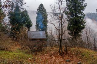 Solomons Gray - Tangmarg - 1