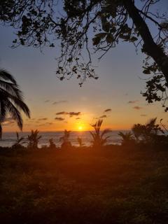 Life for Life Hostel Drake Bay Home of Sea Turtle Marine Conservation Project Osa Peninsula near San Josecito Beach - Drake - 5