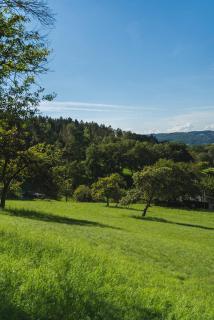Grünewaldhof in Rimbach im Odenwald - Rimbach - 5