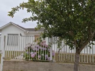 HERMOSA CASA EN ALGARROBO. V REGIÓN - Algarrobo - 0