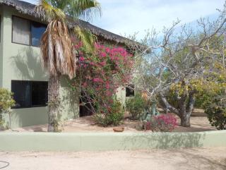 Casa Pájaros - Private 2-Story Home - Cabo Pulmo - 8