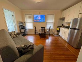 Entire Cozy 1BR Apartment in heart of Queens L - 9