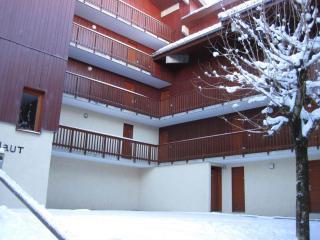 Studio cabine spacieux, proche pistes et centre, animaux admis - FR-1-181-2775 - 2