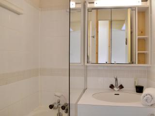 Appartement tout confort Accès direct aux pistes Vue pistes Balcon - FR-1-181-2773 - 1