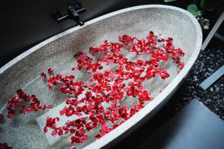 Sattva Garden House - 2