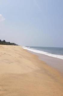 Marari Beach House - Mararikulam - 7