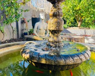Spacious Stays Apartment - Paarl - 5