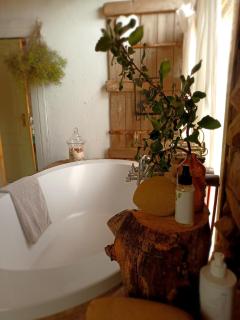 Saffier river cottage Farmstay - Lady Grey - 1