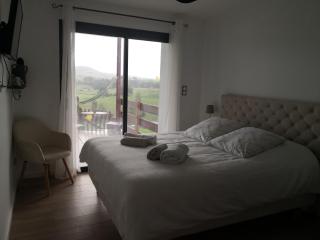 Gites Mendiburia - Iholdy - 2