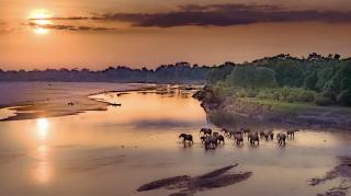Msandile River Lodge - 4