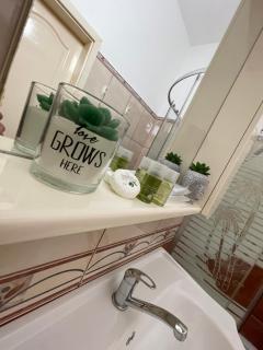 White Swan-Central Apartments - Sibiu - 1