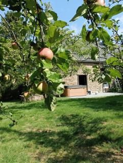 Gite Ardennes Au coin du feu jacuzzi sauna et nature - 5