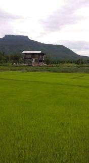Banrai Tator Phophiang - Ban Nong Khan - 1