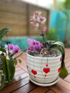 VILLA DE L'AMOUR et SPA - 7
