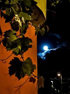 B&B Vigna Grande - Agropoli - 2