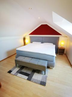 Baltmannsweiler CHALET style top floor apartment no smoking - 5