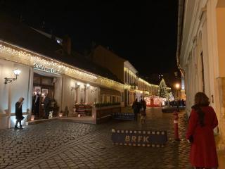 Poppy Flower Apartment - 1