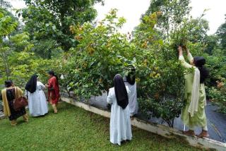 Ultra Modern Glass house with large Swimming pool and garden - Kottayam - 7