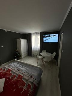 Luxury Apartment - Topliţa - 9