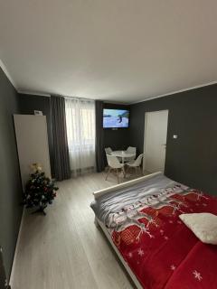 Luxury Apartment - Topliţa - 8