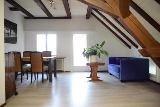 Appartements am Bodensee Nähe Konstanz - 8