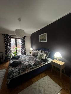 Jordan Apartman - Niška Banja - 9