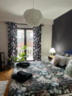 Jordan Apartman - Niška Banja - 0