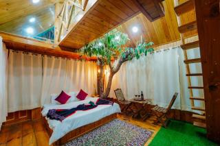 Himalayan Abode Tree House - Sainj - 3
