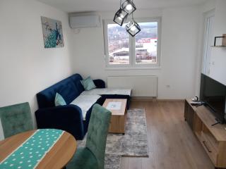 Stan na dan - Apartman Blue Moon - Lukavica - 7