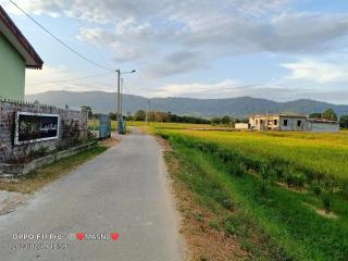 Tunas Homestay & Chalet - Pantai Cenang - 4