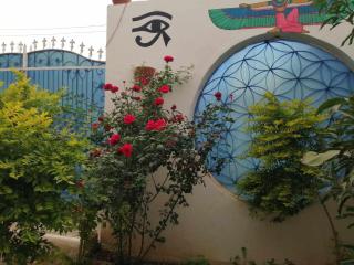 Lots flowers - Louxor - 7