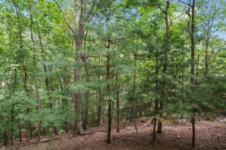 Cozy Bear Getaway - Marblehill - 1