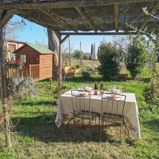 Poggio la Luna - La casa nel vigneto - Montemerano - 4