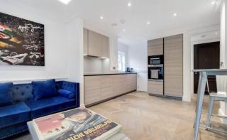Stylish 2 Bedroom / Swiss Cottage / Regent's Park - 8