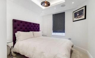 Stylish 2 Bedroom / Swiss Cottage / Regent's Park - 6