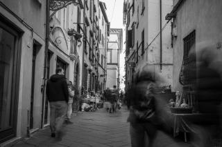 Nido sui tetti di Lucca, romantico e centralissimo - Lucca - 1