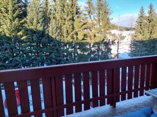 Cozy family apartment with garage - 2