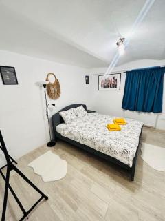 Vibrant apartment #12lunipebega - Timişoara - 2