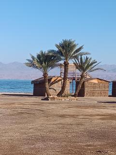 Antika camp - Nuweiba - 2
