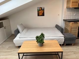 FeelHome Apartment with kitchen - 7