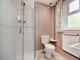 3 Bed in Brechfa 92116 - Rhyd-cymmerau - 1