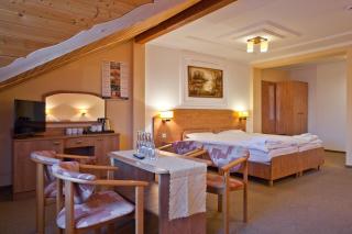 Piastun SPA&Wellness Krynica-Zdrój - Krynica-Zdrój - 9
