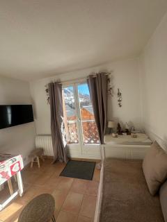 Le shuss 4 la foux d'allos - 8