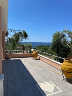 Alex Bar APARTMENTS SARAKINIKO - Parga - 8