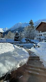 WEF luxury living - Klosters-Serneus - 2