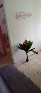 Apartamentos HJJ - Puerto Limón - 9