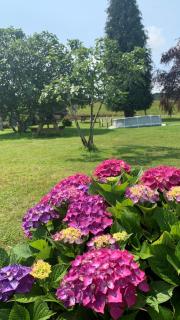 Apartamentos La Quintana de Romillo - Romillo - 7