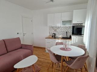 Apartman Stanislava - Zlatibor - 8