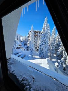MASSIV Kopaonik centar lux apartmani - Kopaonik - 1
