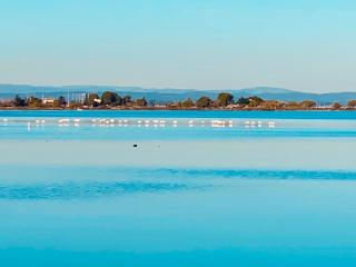 Mazet NiMiSa - Marseillan - 8